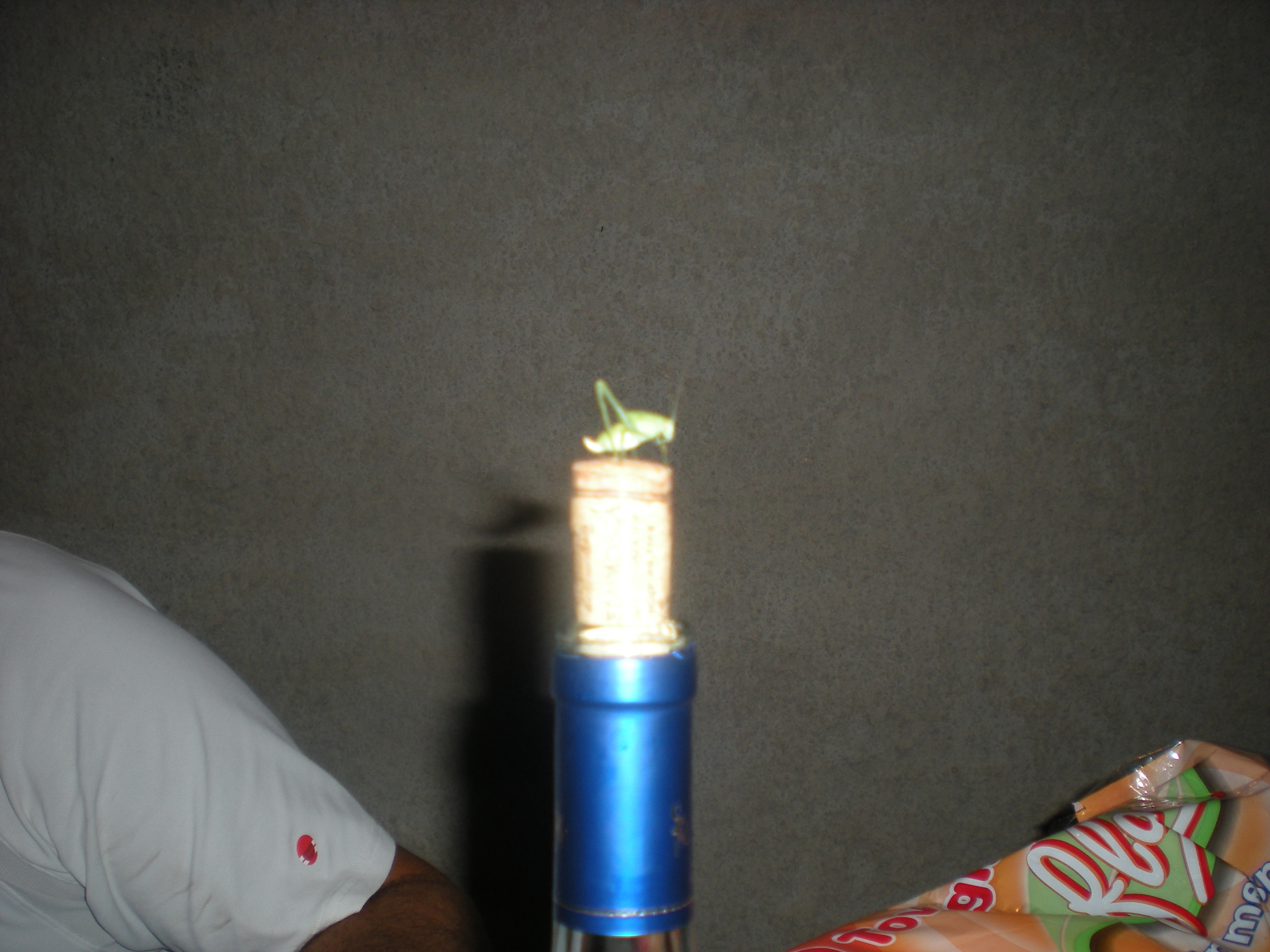 DSCN3251.JPG